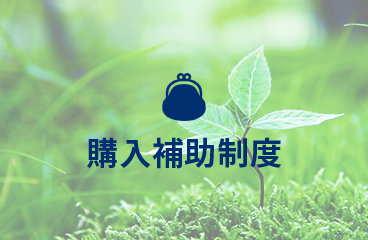 購入補助制度